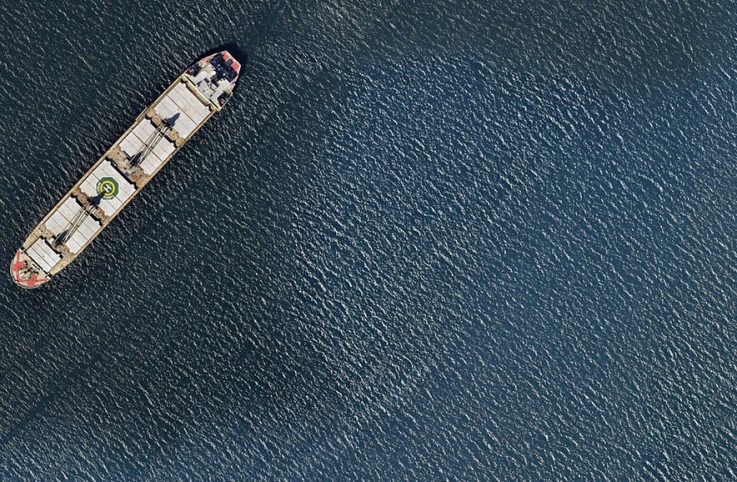 Ves Video Eagle Bulk Blog