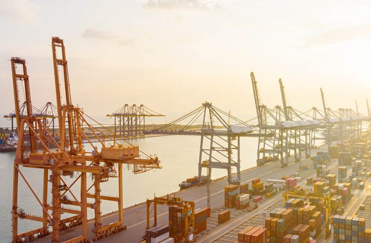 Backups At Berth Blog