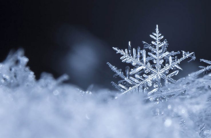 Happy Holidays From Ves Blog