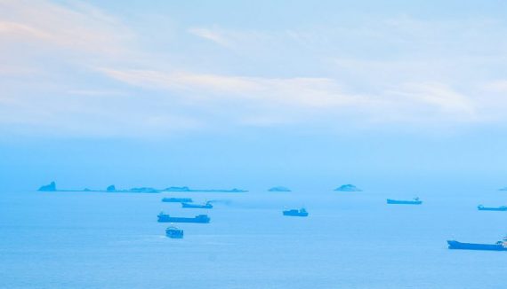 Austrex Success Story