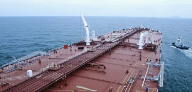 Damico Success Story