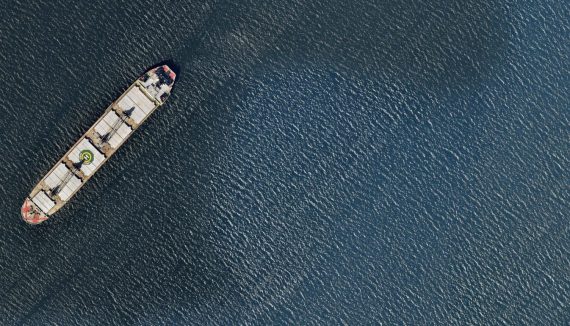 Eagle Bulk Success Story