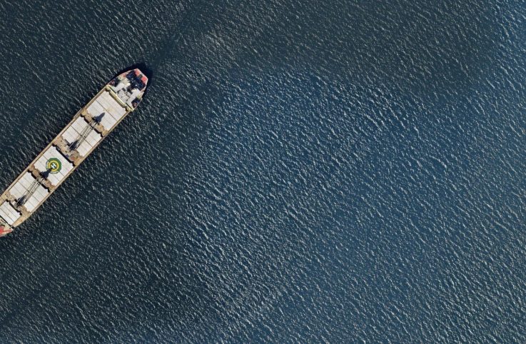 Eagle Bulk Success Story