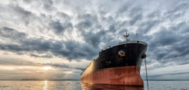 Western Bulk Success Story