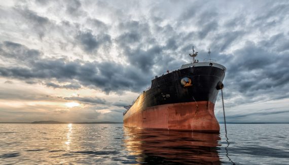 Western Bulk Success Story