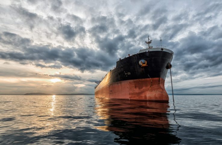 Western Bulk Success Story