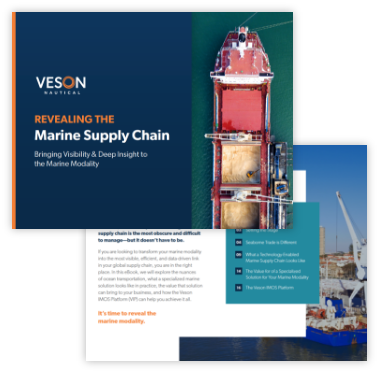 Tonnage Charterer Infographic