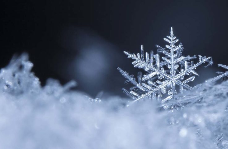 Blog Header Happy Holidays 2020