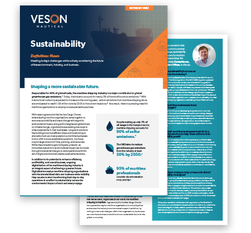 Sustainability Movement Brief