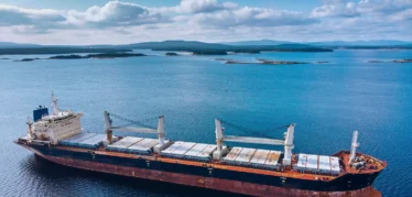 Hd Eagle Bulk Shipping Inc Case Study