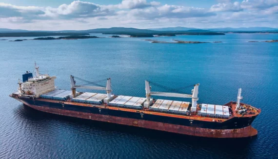 Hd Eagle Bulk Shipping Inc Case Study