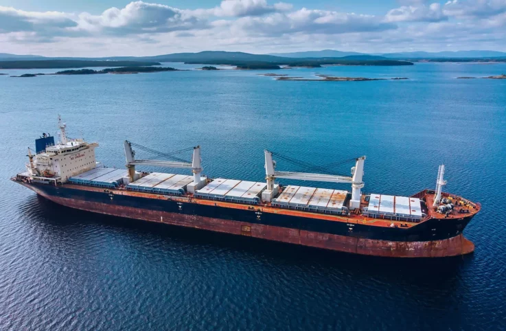 Hd Eagle Bulk Shipping Inc Case Study