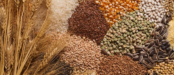 Carg Cont Adva WordPress Thumbnail