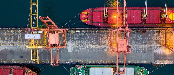 Port Disb Proc Over WordPress Thumbnail