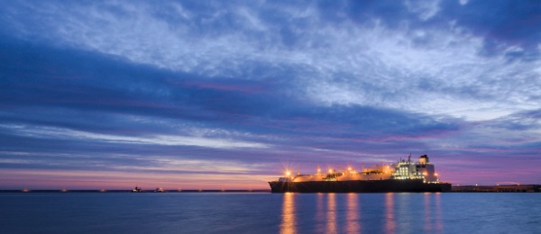 Vess Carg Port WordPress Thumbnail