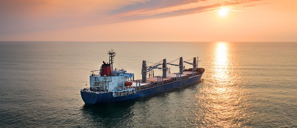 Voya Mana Over WordPress Thumbnail