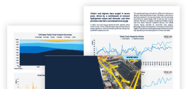 Whitepaper Chinacoal Thumbnail 600x600