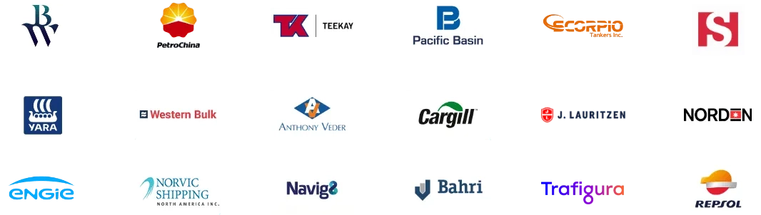 Client Voice Logos