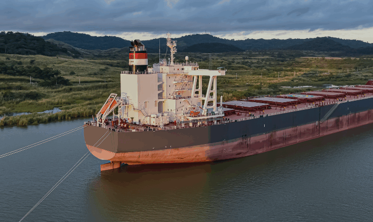Panamax Bulker Blog