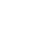 Logo Eagle Bulk