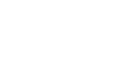 Logo Western Bulk
