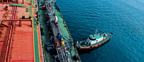 Voya Bunk WordPress Thumbnail