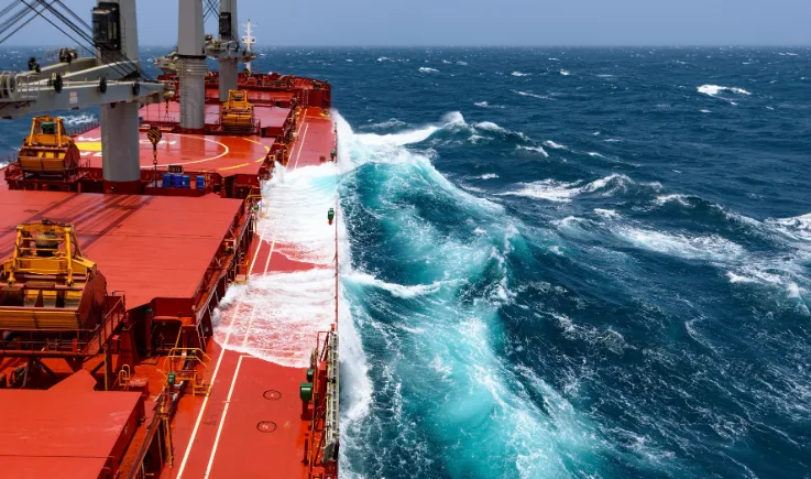 Bulker Hormuz Update Header